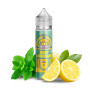 Mint Lemonade Juicebox