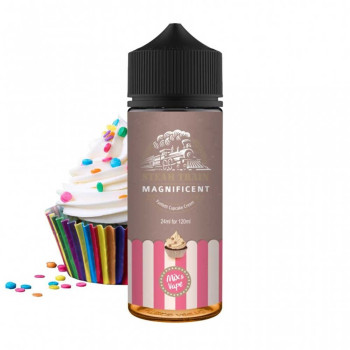 Steam Train Magnificent Flavor Shot 120ml